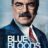 Blue Bloods : 2.Sezon 4.Bölüm izle