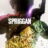 SPRIGGAN : 1.Sezon 2.Bölüm izle
