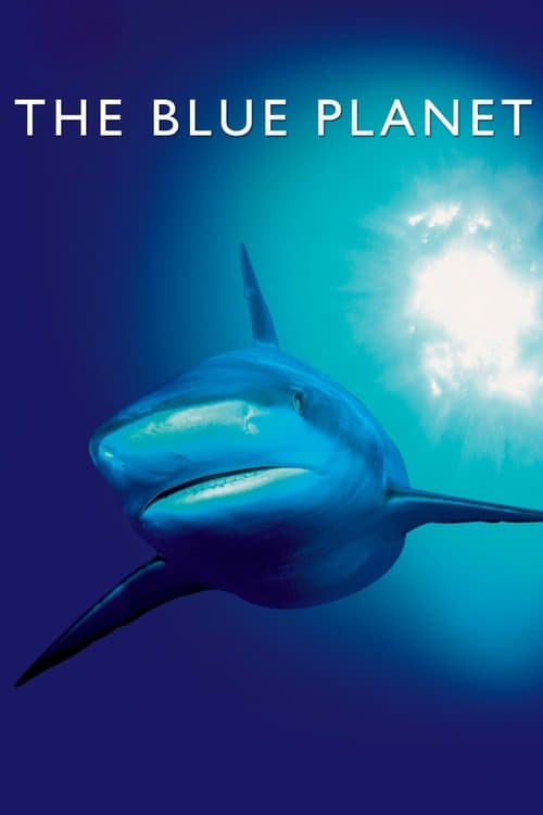 The Blue Planet : 1.Sezon 3.Bölüm