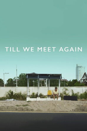 Till We Meet Again izle (2016)