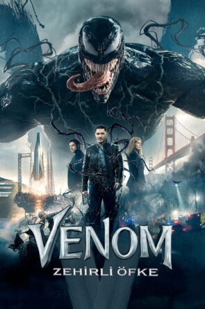 Ve Panayır Köyden Gider izle (2016)