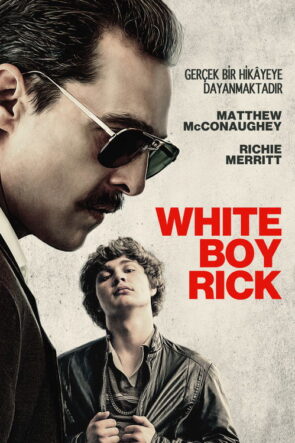 Vincent’ten Sevgilerle izle (2017)