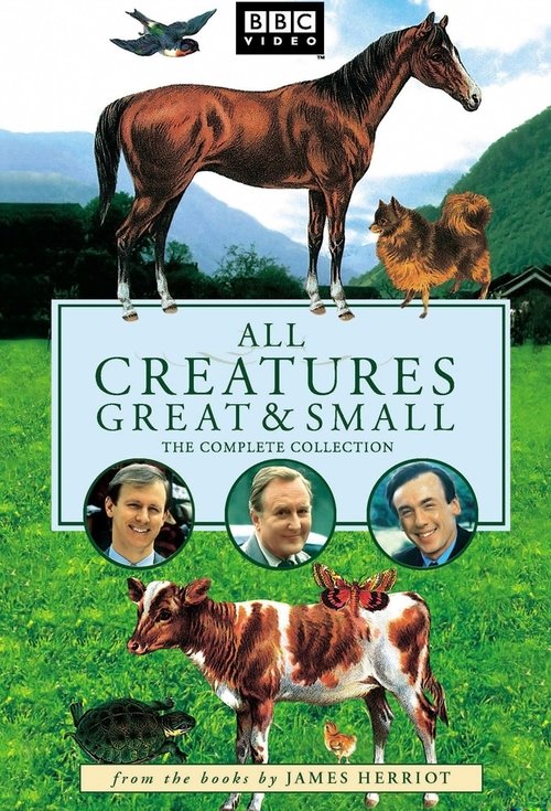 All Creatures Great and Small : 1.Sezon 1.Bölüm