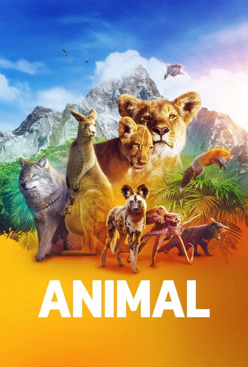Animal : 1.Sezon 4.Bölüm