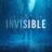 Invisible : 1.Sezon 5.Bölüm izle