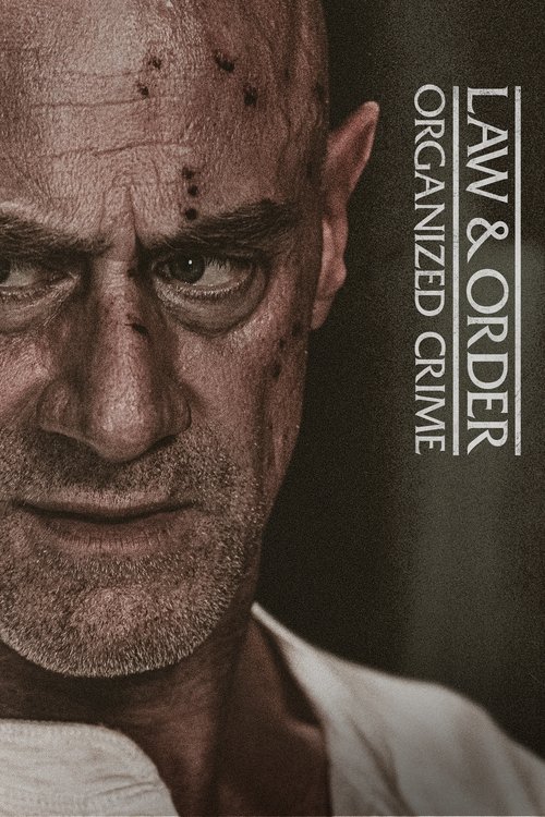 Law & Order Organized Crime : 3.Sezon 12.Bölüm