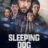 Sleeping Dog : 1.Sezon 5.Bölüm izle