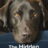 The Secret Life of Our Pets : 1.Sezon 2.Bölüm izle