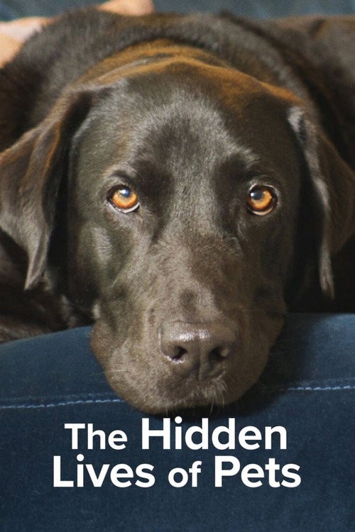 The Secret Life of Our Pets : 1.Sezon 2.Bölüm