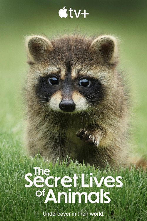 The Secret Lives of Animals : 1.Sezon 10.Bölüm