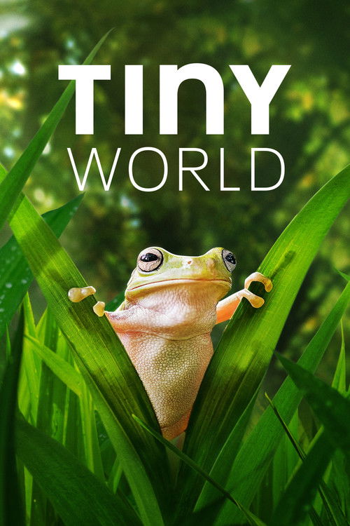 Tiny World : 2.Sezon 6.Bölüm