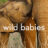 Wild Babies : 1.Sezon 8.Bölüm izle