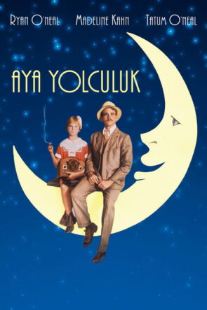 Ayı Paddington 2 izle (2017)