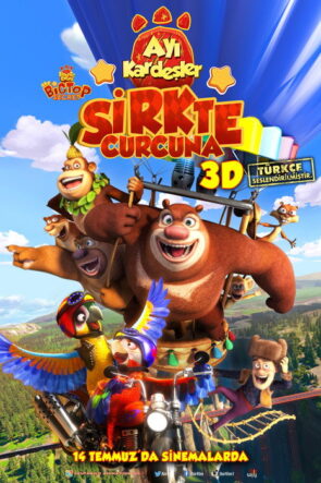 Ayı Kardeşler: Sirkte Curcuna izle (2016)
