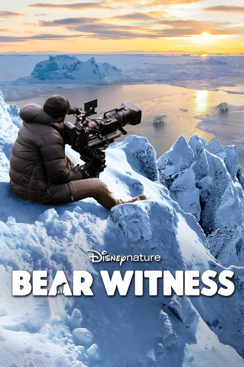 Ayılara Tanıklık izle (2022)