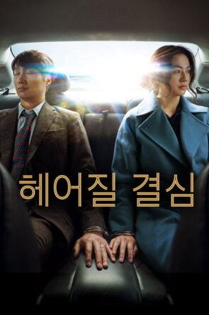 Ayrılma Kararı izle (2022)