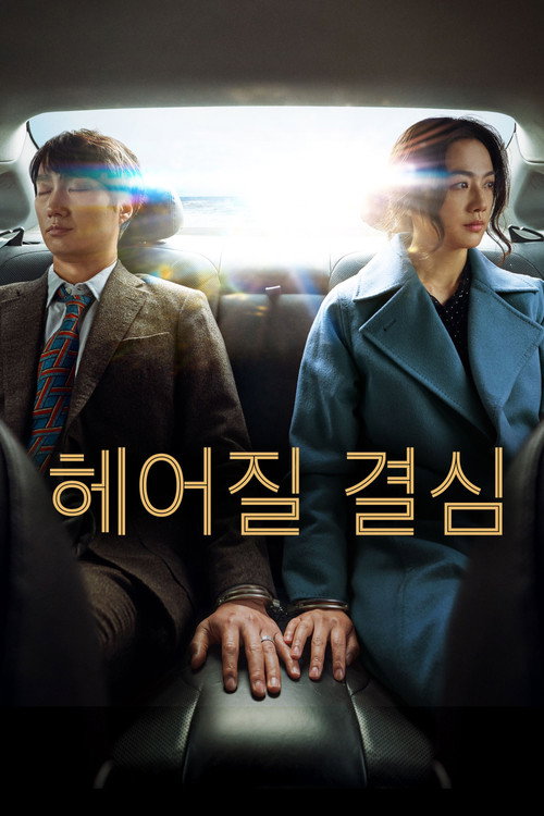 Ayrılma Kararı izle (2022)