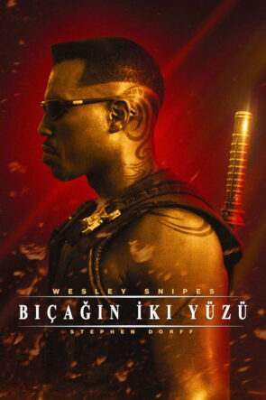 Black Panther izle (2018)