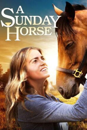 Bir Pazar Atı izle (2016)