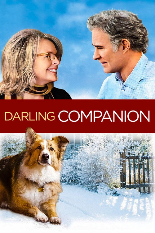 Can Yoldaşım izle (2012)