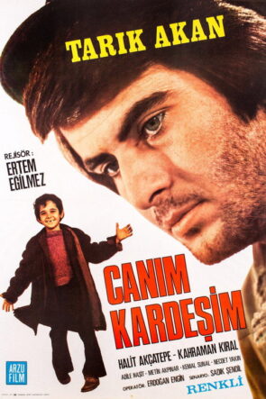 Canım Kardeşim izle (1973)