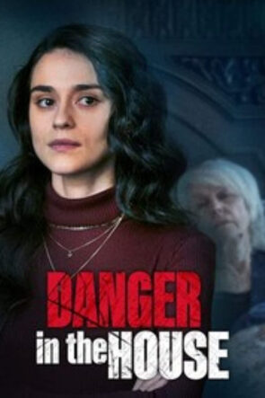 Danger in the House izle (2022)