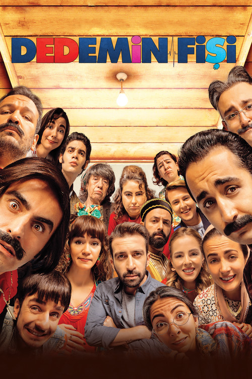 Dedemin Fişi izle (2016)