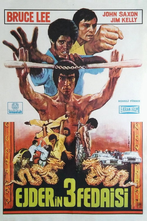 Ejderin 3 Fedaisi izle (1973)