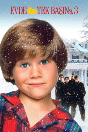 Evde Tek Başına 3 izle (1997)