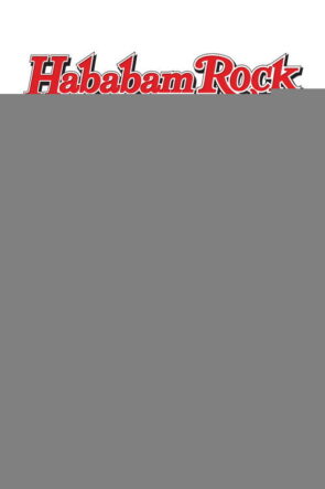 Hababam Rock izle (2003)