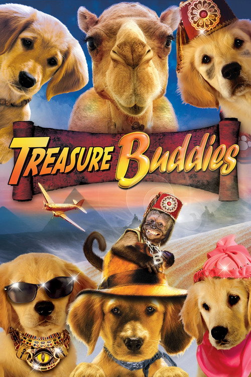 Hazine Bekçileri izle (2012)