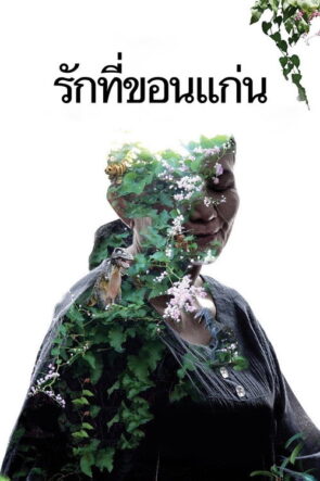 İhtişam Mezarlığı izle (2015)