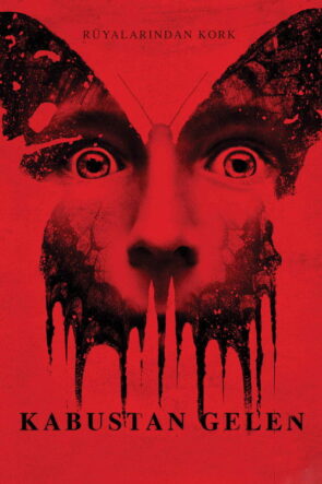 Kabustan Gelen izle (2016)