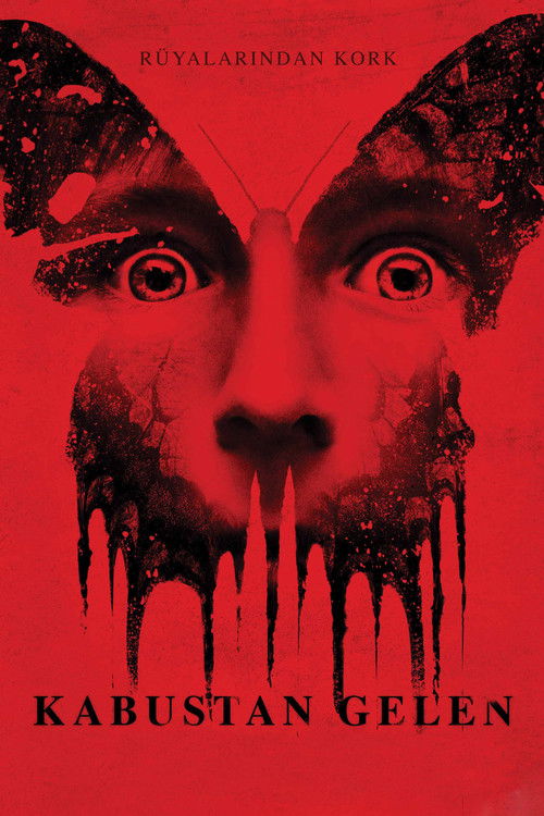 Kabustan Gelen izle (2016)