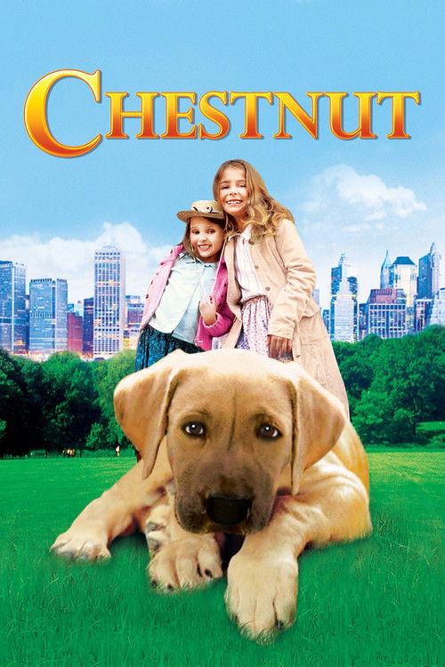 Kahraman Köpek izle (2004)