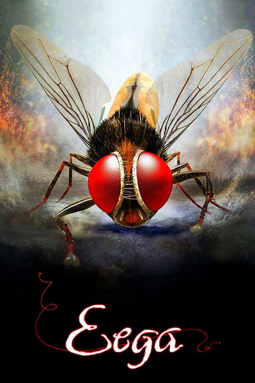 Kara Sinek izle (2012)