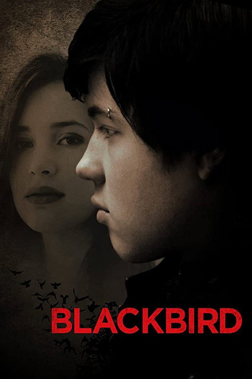 Karakuş izle (2012)