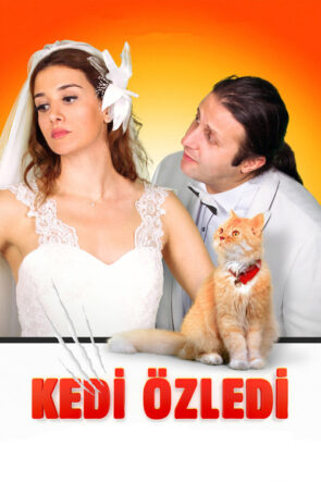 Kedi Özledi izle (2013)