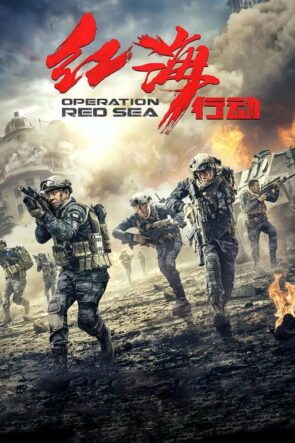Kızıldeniz Operasyonu izle (2018)