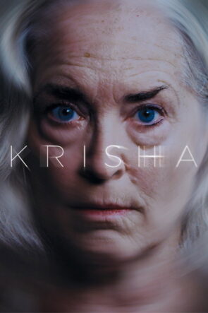 Krisha izle (2016)