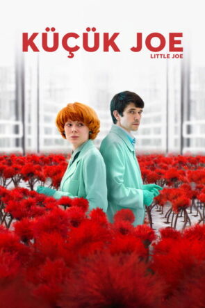 Küçük Joe izle (2019)