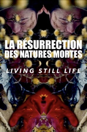 La Résurrection des natures mortes (Living Still Life) izle (2014)