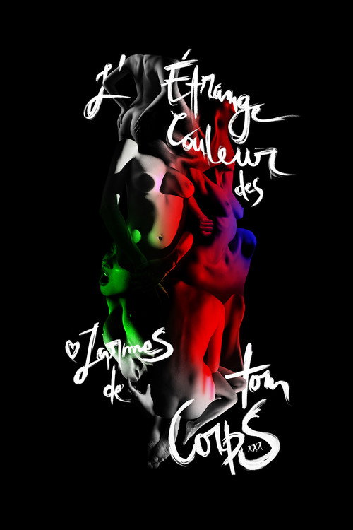 L’Étrange Couleur des larmes de ton corps izle (2014)