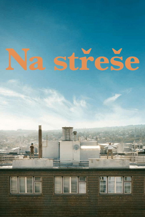 Na střeše izle (2019)