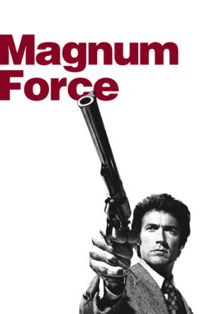 Silahın Gücü izle (1973)