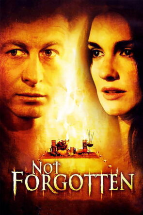 Sır Perdesi izle (2009)
