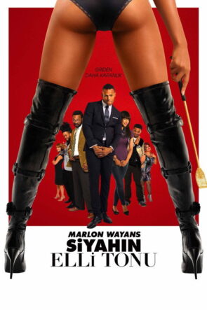 Siyahın Elli Tonu izle (2016)