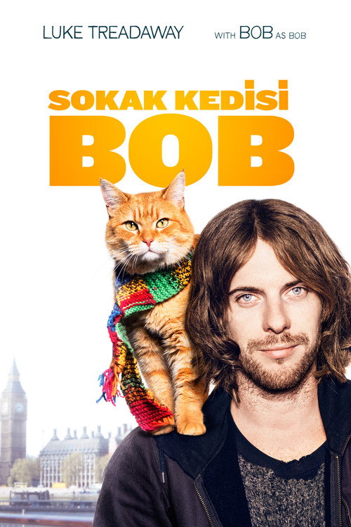Sokak Kedisi Bob izle (2016)