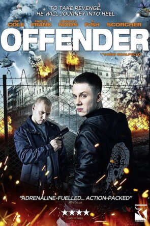 Suçlu izle (2012)