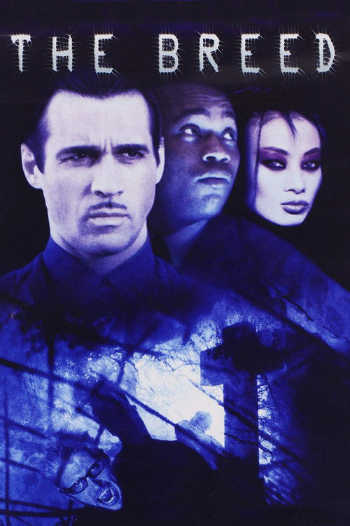 Vampirlerin Dünyası izle (2001)